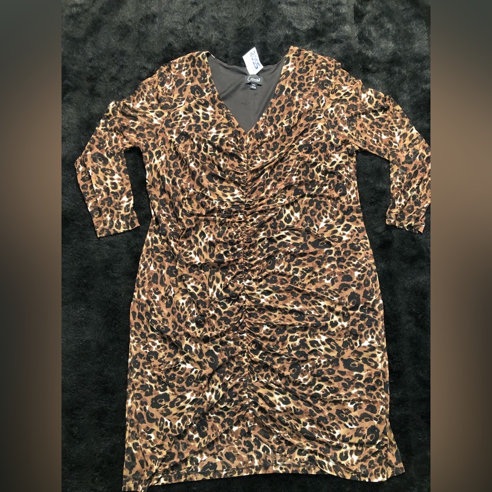 Ladies Long Sleeve Sheer Animal Print DRESS New with Tags